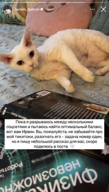 https://upforme.ru/uploads/001b/92/d8/1750/t126857.jpg