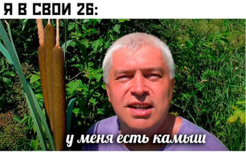 https://upforme.ru/uploads/001b/92/d8/1750/t153854.jpg
