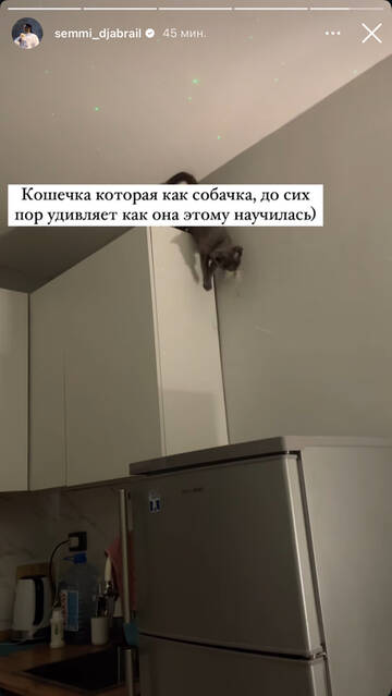 https://upforme.ru/uploads/001b/92/d8/1750/t18699.jpg