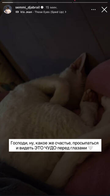 https://upforme.ru/uploads/001b/92/d8/1750/t236858.jpg