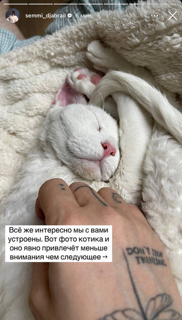 https://upforme.ru/uploads/001b/92/d8/1750/t266634.jpg
