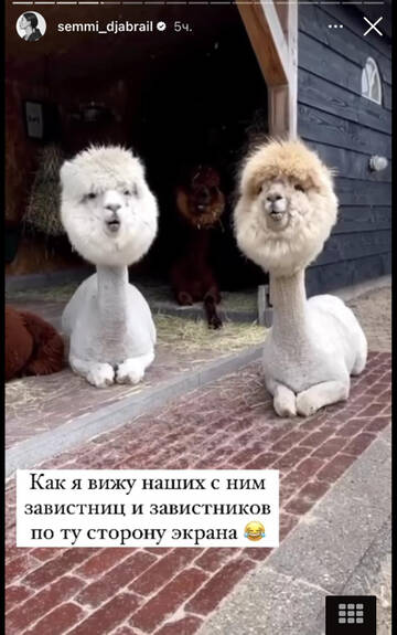 https://upforme.ru/uploads/001b/92/d8/1750/t29933.jpg