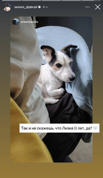 https://upforme.ru/uploads/001b/92/d8/1750/t318740.jpg