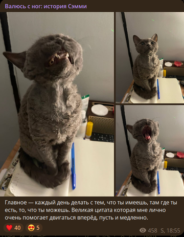 https://upforme.ru/uploads/001b/92/d8/1750/t37996.png