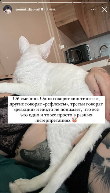 https://upforme.ru/uploads/001b/92/d8/1750/t408964.jpg
