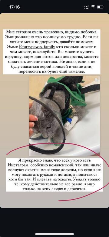 https://upforme.ru/uploads/001b/92/d8/1750/t415582.jpg