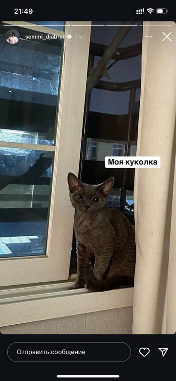 https://upforme.ru/uploads/001b/92/d8/1750/t512544.jpg