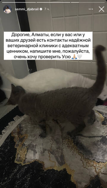 https://upforme.ru/uploads/001b/92/d8/1750/t523277.jpg