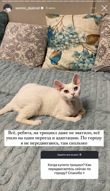 https://upforme.ru/uploads/001b/92/d8/1750/t534980.jpg