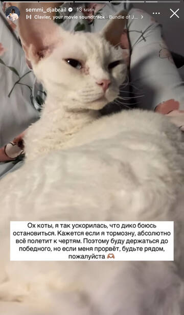 https://upforme.ru/uploads/001b/92/d8/1750/t567791.jpg