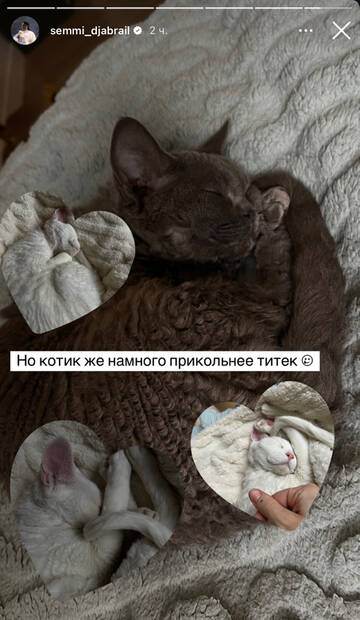 https://upforme.ru/uploads/001b/92/d8/1750/t675104.jpg