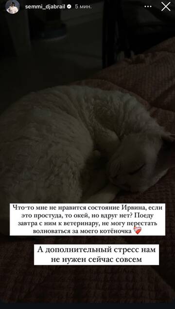 https://upforme.ru/uploads/001b/92/d8/1750/t797003.jpg