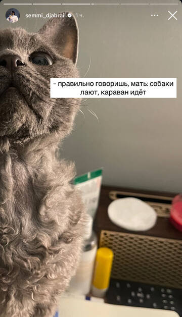 https://upforme.ru/uploads/001b/92/d8/1750/t827095.jpg