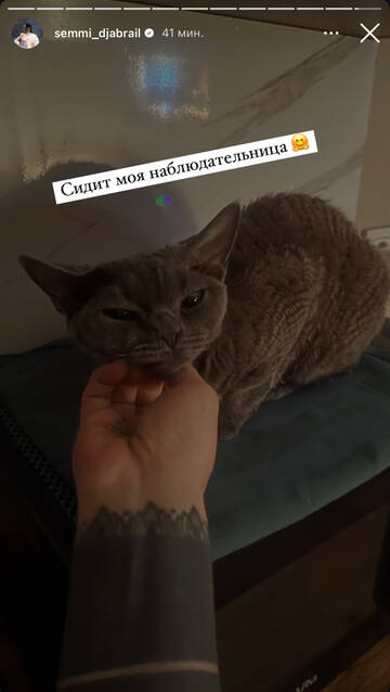 https://upforme.ru/uploads/001b/92/d8/1750/t876667.jpg