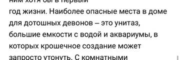 https://upforme.ru/uploads/001b/92/d8/1750/t898959.jpg
