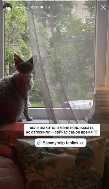 https://upforme.ru/uploads/001b/92/d8/1750/t980916.jpg