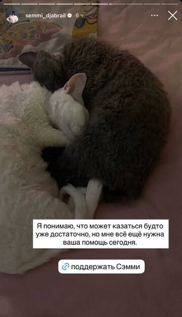 https://upforme.ru/uploads/001b/92/d8/1750/t997280.jpg