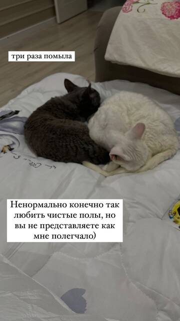 https://upforme.ru/uploads/001b/92/d8/1764/t372574.jpg