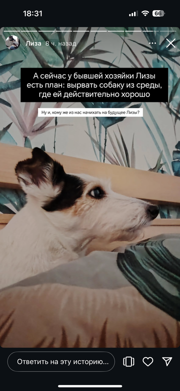 https://upforme.ru/uploads/001b/92/d8/1776/t172059.png