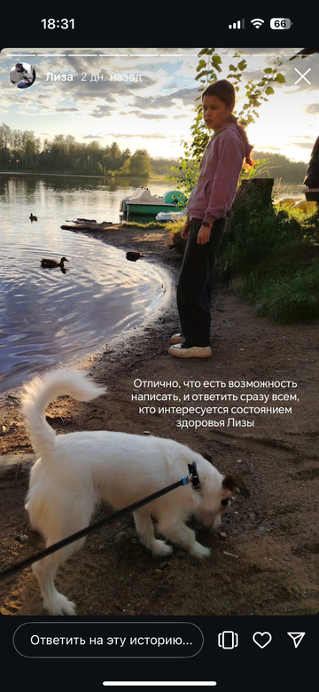 https://upforme.ru/uploads/001b/92/d8/1776/t499193.png