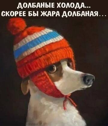 https://upforme.ru/uploads/001b/92/d8/1811/t503446.jpg