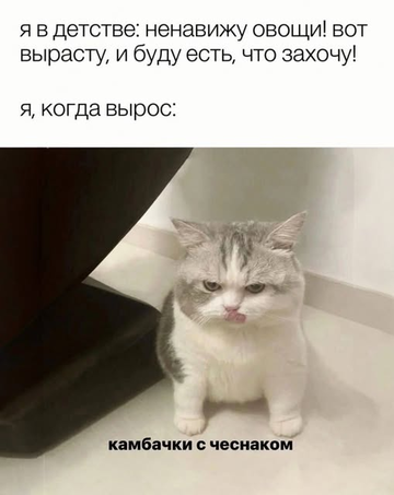 https://upforme.ru/uploads/001b/92/d8/1811/t699257.png