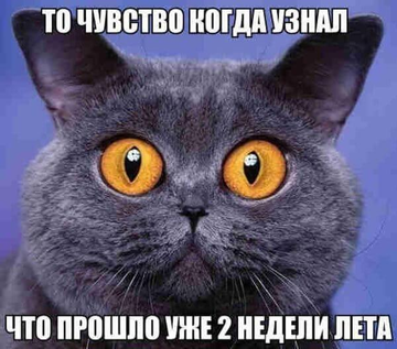 https://upforme.ru/uploads/001b/92/d8/1811/t757832.png