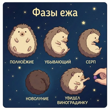 https://upforme.ru/uploads/001b/92/d8/1811/t782562.png