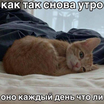 https://upforme.ru/uploads/001b/92/d8/1811/t798163.png