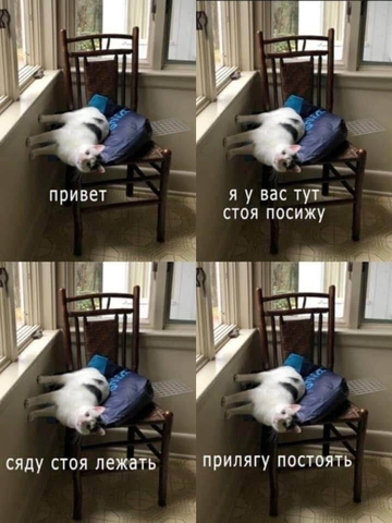 https://upforme.ru/uploads/001b/92/d8/1811/t858810.png