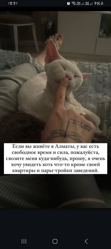 https://upforme.ru/uploads/001b/92/d8/1829/t167852.jpg