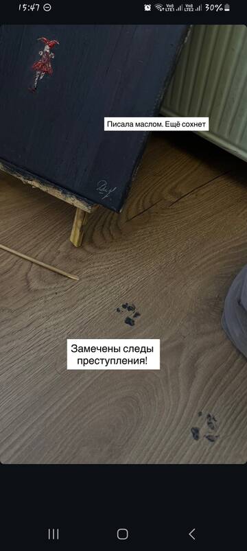 https://upforme.ru/uploads/001b/92/d8/1829/t176243.jpg