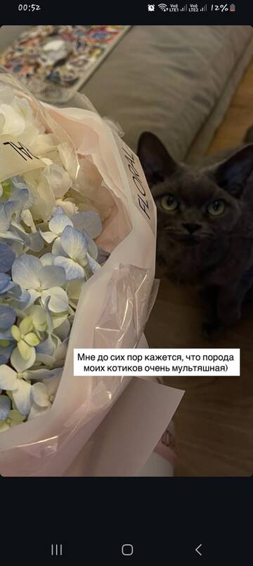 https://upforme.ru/uploads/001b/92/d8/1829/t241389.jpg