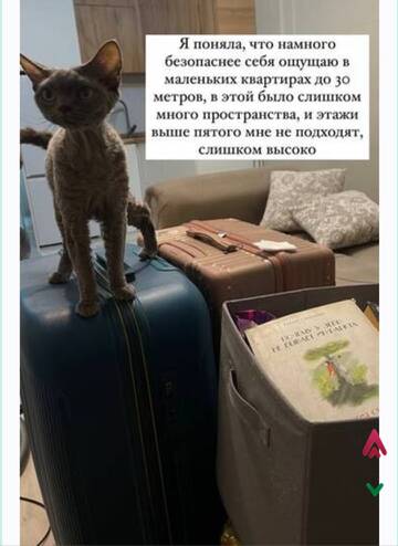 https://upforme.ru/uploads/001b/92/d8/1829/t279737.jpg