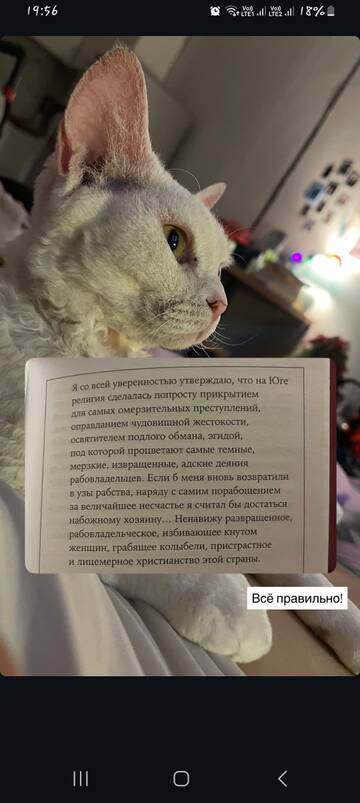 https://upforme.ru/uploads/001b/92/d8/1829/t285643.jpg