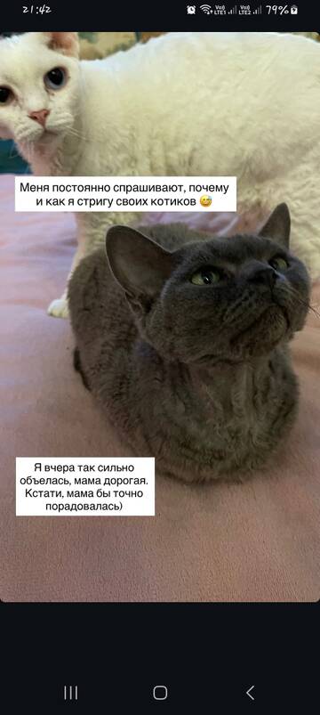 https://upforme.ru/uploads/001b/92/d8/1829/t304847.jpg