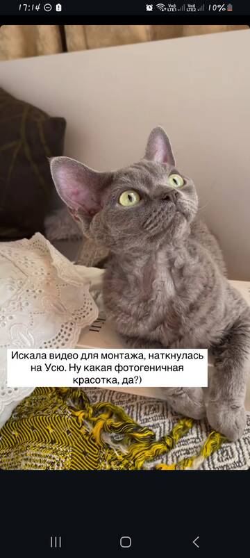 https://upforme.ru/uploads/001b/92/d8/1829/t454216.jpg