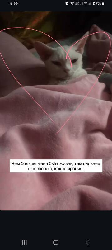 https://upforme.ru/uploads/001b/92/d8/1829/t48071.jpg