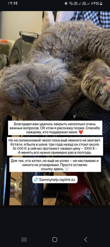 https://upforme.ru/uploads/001b/92/d8/1829/t543302.jpg