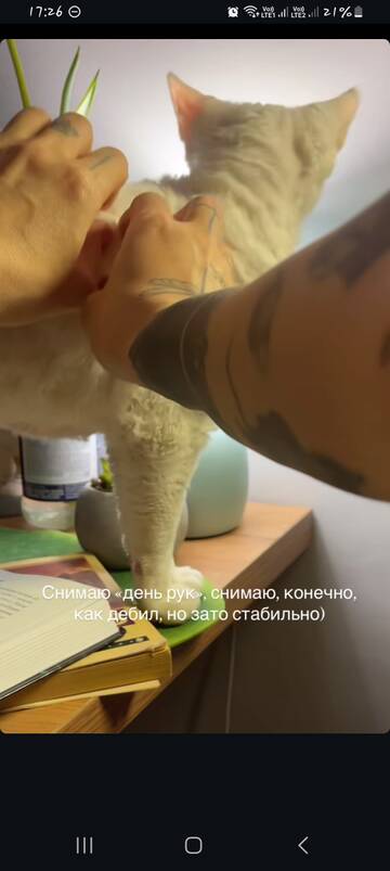 https://upforme.ru/uploads/001b/92/d8/1829/t608014.jpg