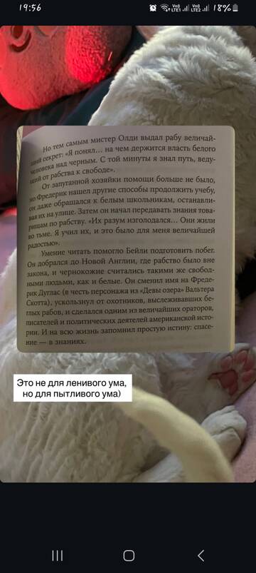 https://upforme.ru/uploads/001b/92/d8/1829/t812207.jpg