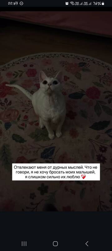 https://upforme.ru/uploads/001b/92/d8/1829/t837813.jpg