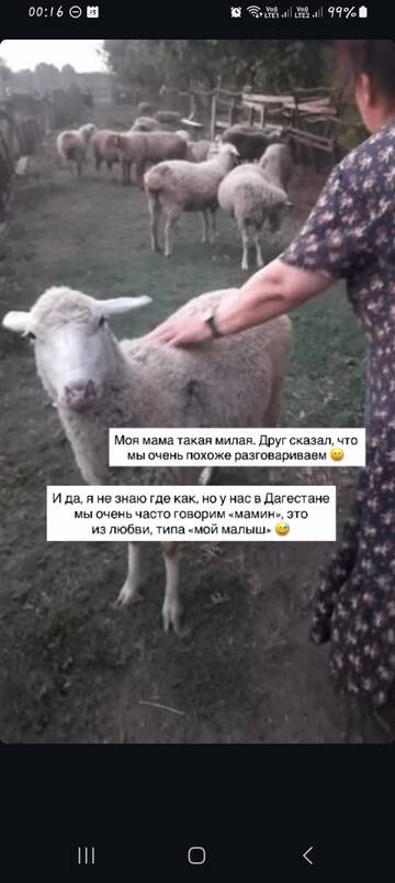https://upforme.ru/uploads/001b/92/d8/1829/t87223.jpg