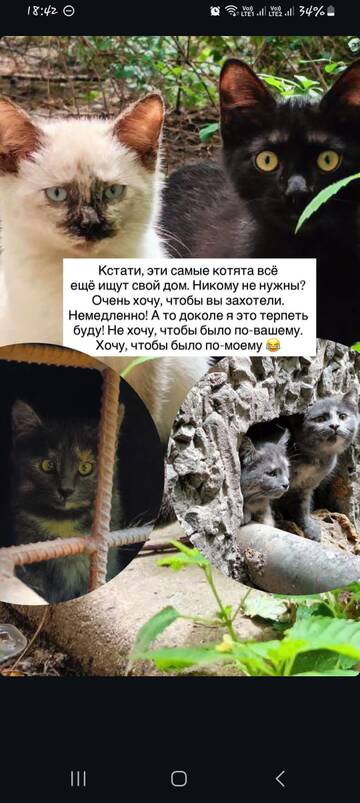 https://upforme.ru/uploads/001b/92/d8/1829/t876106.jpg