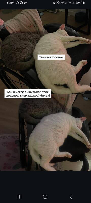 https://upforme.ru/uploads/001b/92/d8/1829/t901906.jpg
