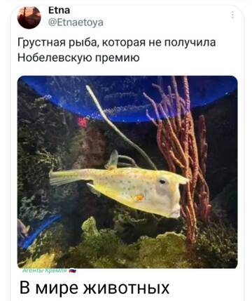https://upforme.ru/uploads/001b/92/d8/1834/t101510.jpg