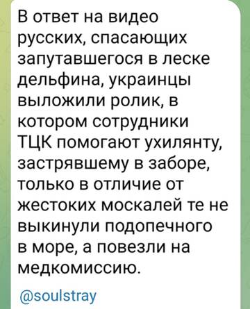 https://upforme.ru/uploads/001b/92/d8/1834/t111144.jpg