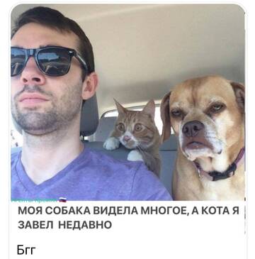 https://upforme.ru/uploads/001b/92/d8/1834/t557135.jpg