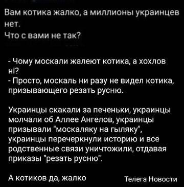 https://upforme.ru/uploads/001b/92/d8/1834/t810836.jpg