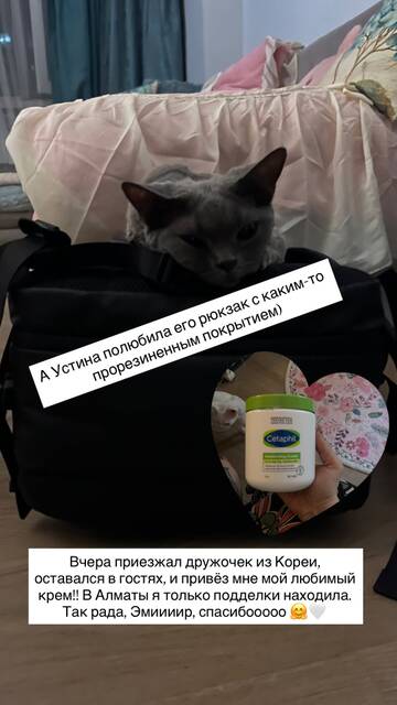 https://upforme.ru/uploads/001b/92/d8/1857/t427223.jpg